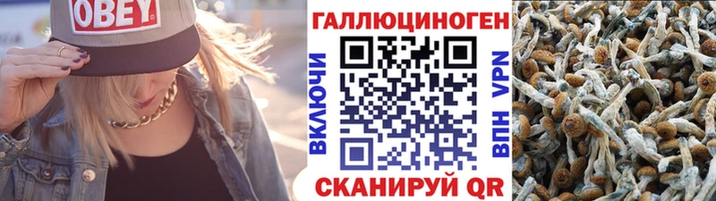 Псилоцибиновые грибы мицелий Омск
